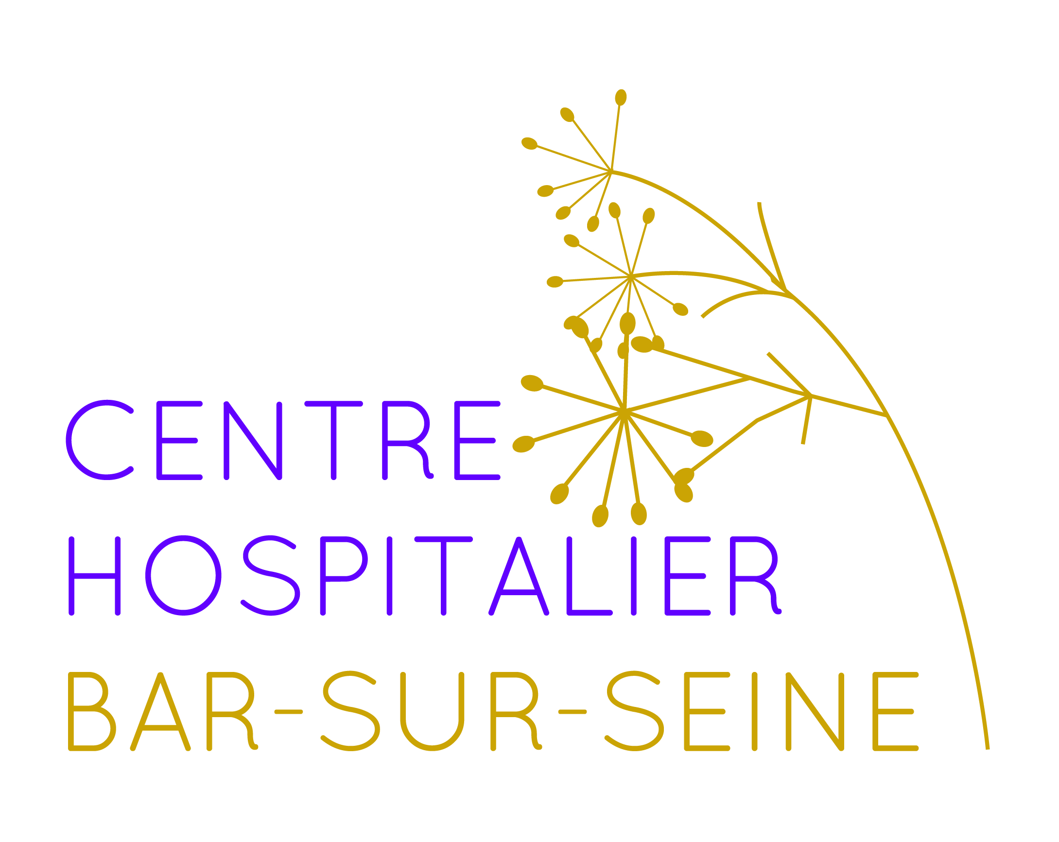 Logo CH Bar-sur-Seine